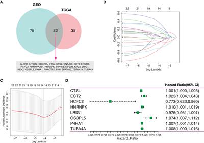 Establishing a Macrophage Phenotypic Switch-Associated Signature-Based Risk Model for Predicting the Prognoses of Lung Adenocarcinoma